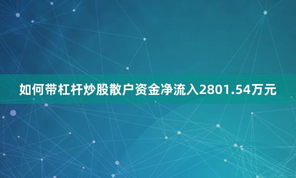 如何带杠杆炒股散户资金净流入2801.54万元
