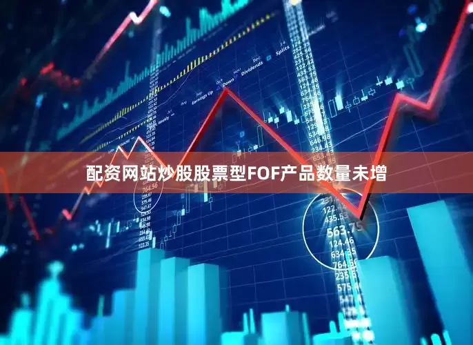 配资网站炒股股票型FOF产品数量未增