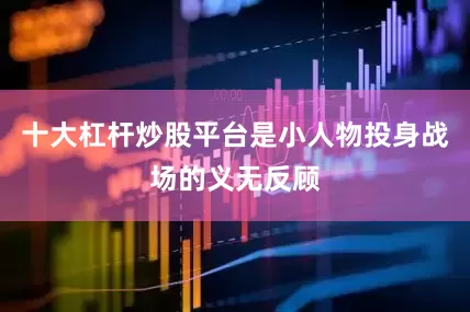 十大杠杆炒股平台是小人物投身战场的义无反顾