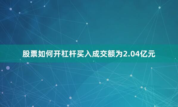 股票如何开杠杆买入成交额为2.04亿元