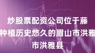 炒股票配资公司位于藤椒种植历史悠久的眉山市洪雅县