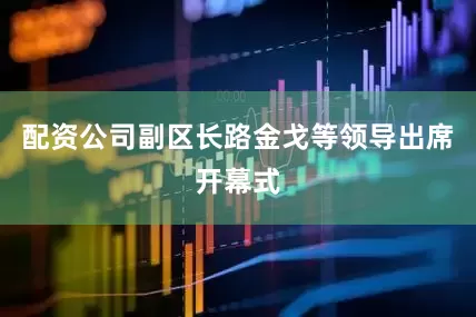 配资公司副区长路金戈等领导出席开幕式