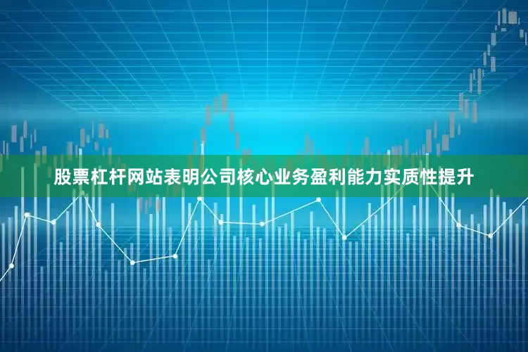 股票杠杆网站表明公司核心业务盈利能力实质性提升